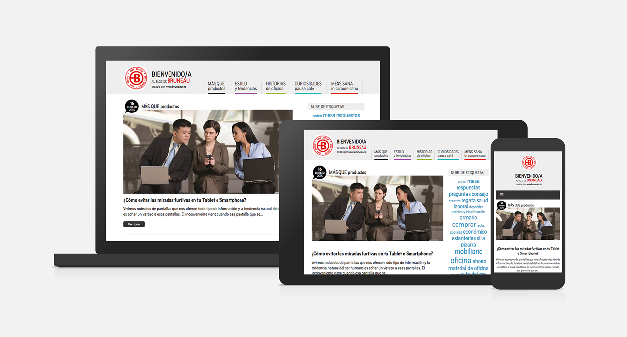 Diseño y programación web Bruneau