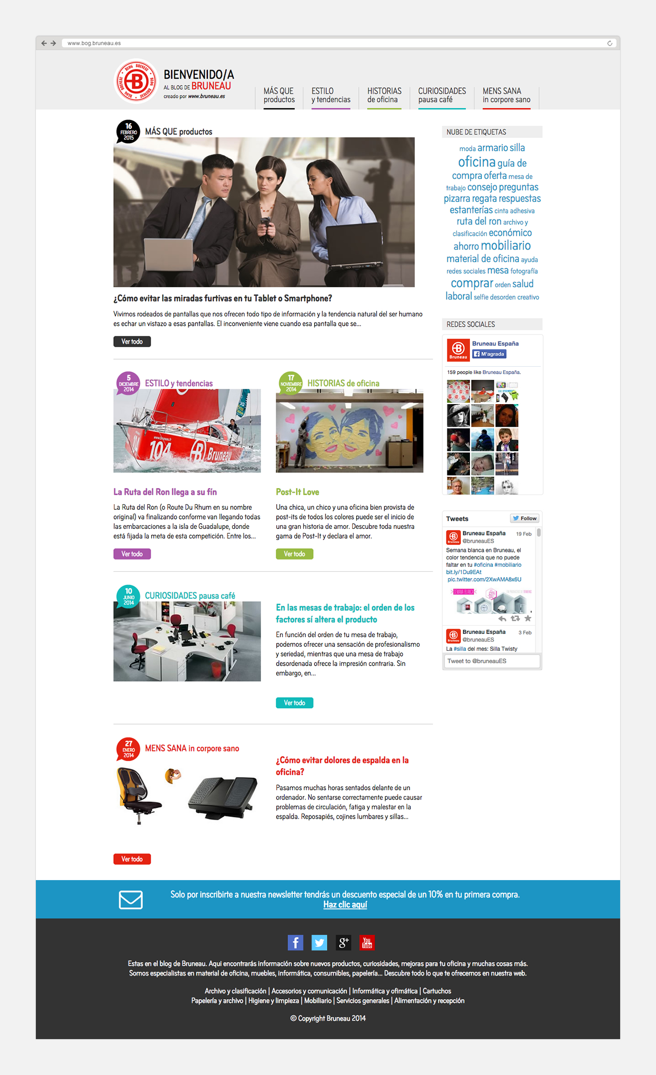 Diseño y programación web Bruneau