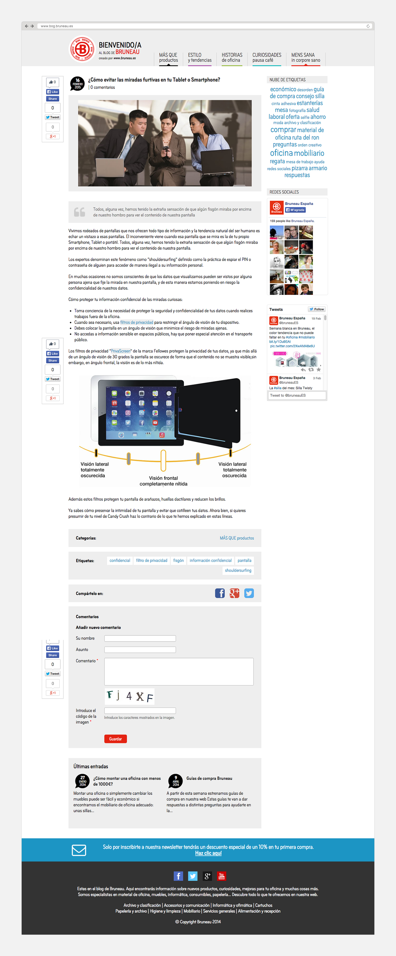 Diseño y programación web Bruneau