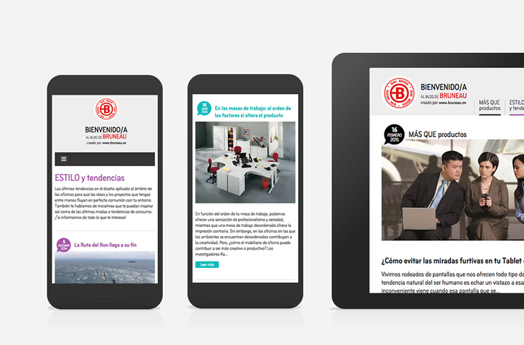 Diseño y programación web Bruneau