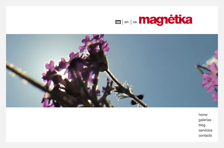 Diseño y programación web Magnétika